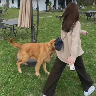一个死气沉沉的夏天