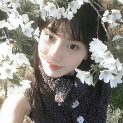 掌门低调点 动态漫第一季