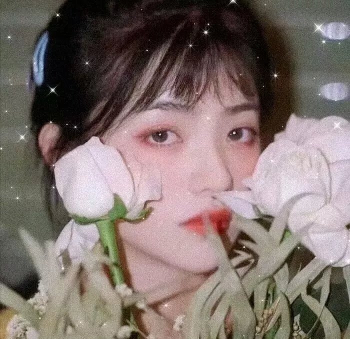 莎侬的彩虹